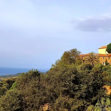 Terre De Maquis, Vue Corse Sari-D'orcino