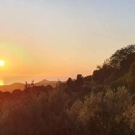 게스트하우스 Terre De Maquis, Vue Corse