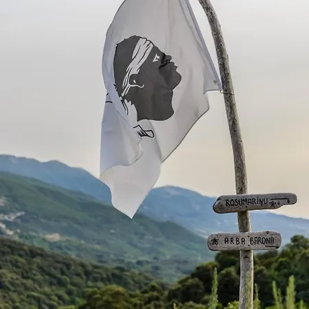 Terre De Maquis, Vue Corse