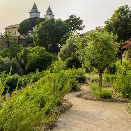Terre De Maquis, Vue Corse Sari-D'orcino