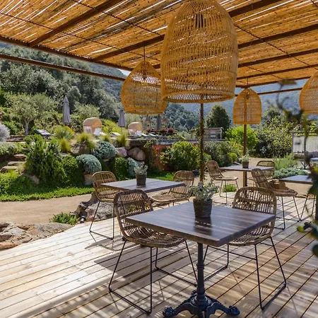 Terre De Maquis, Vue Corse 게스트하우스 Sari-D'orcino