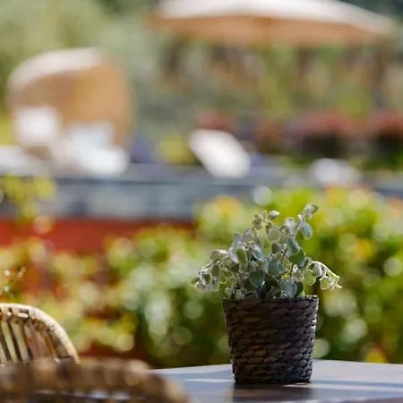 Pensjonat Terre De Maquis, Vue Corse Sari-D'orcino