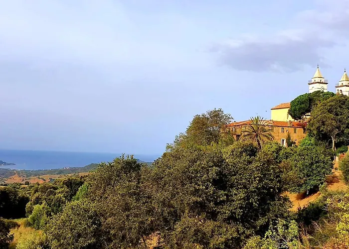 Terre De Maquis, Vue Corse Sari-D'orcino