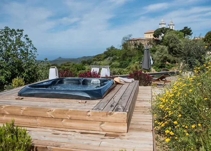 Terre De Maquis, Vue Corse Sari-D'orcino