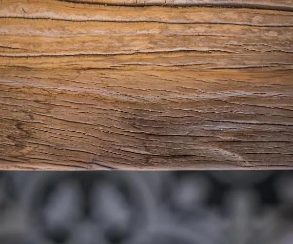 Terre De Maquis, Vue Corse Gæstehus 4*