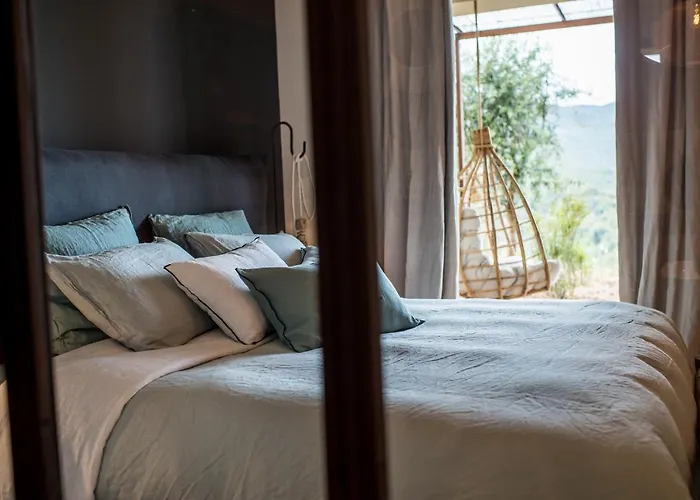 Terre De Maquis, Vue Corse Sari-D'orcino