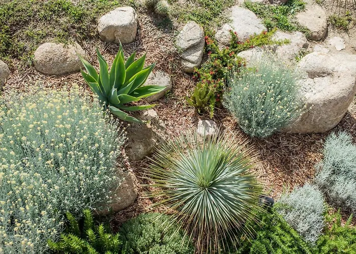 Gæstehus Terre De Maquis, Vue Corse