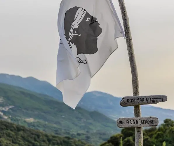 Terre De Maquis, Vue Corse