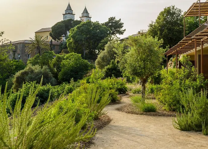 Terre De Maquis, Vue Corse Sari-D'orcino