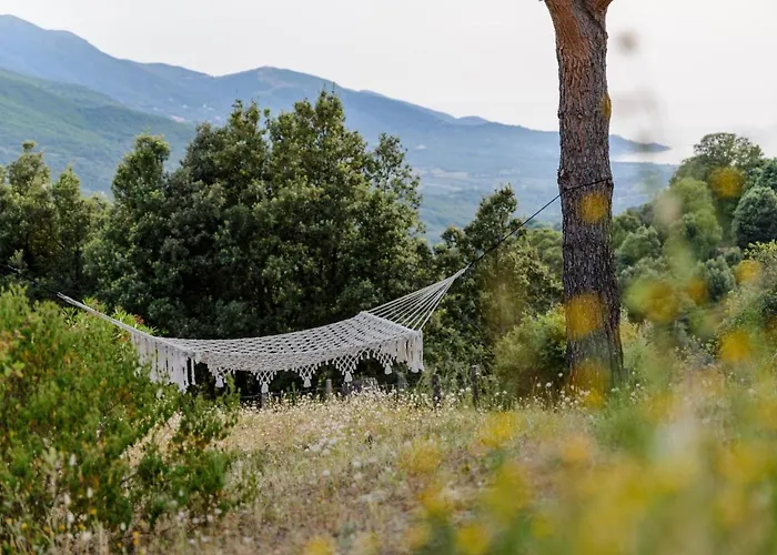 Terre De Maquis, Vue Corse Gæstehus Sari-D'orcino