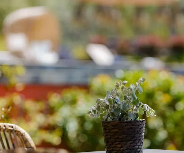 Gæstehus Terre De Maquis, Vue Corse Sari-D'orcino